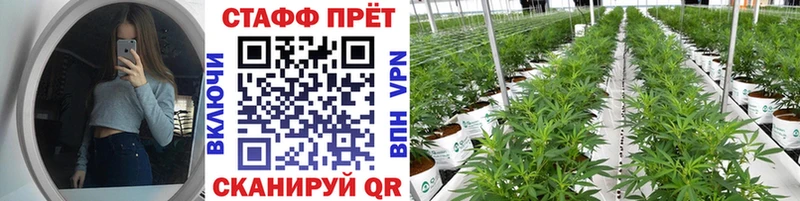 Как найти закладки Выкса Марихуана  omg онион  Меф  Cocaine  A PVP 