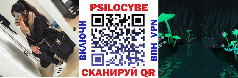Псилоцибиновые грибы мицелий  Выкса 